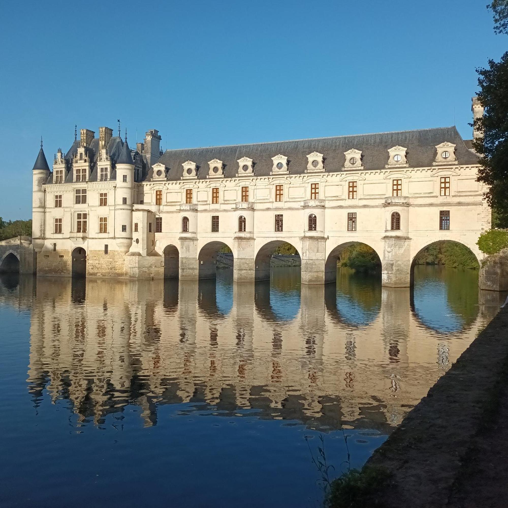 Au Nom Des Dames, Maison Et Table D'Hotes, Pres De Chenonceau Et Du Zoo De Beauval Faverolles-sur-Cher Kültér fotó